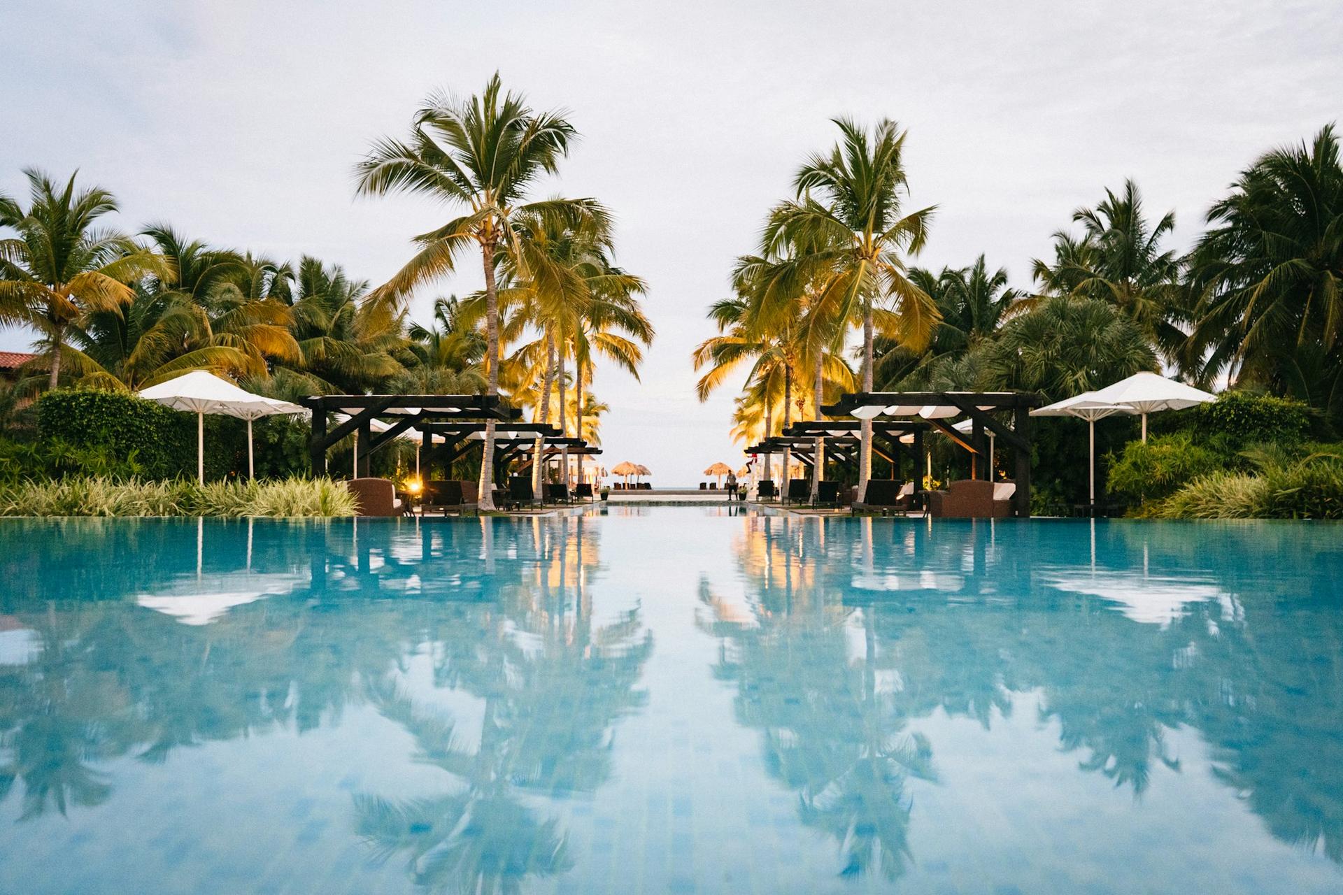 Palm-lined resort pool